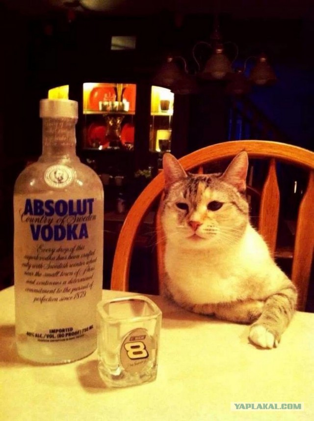 Жила-была Печь