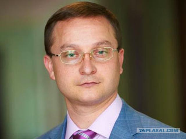 Депутат Роман Худяков избит