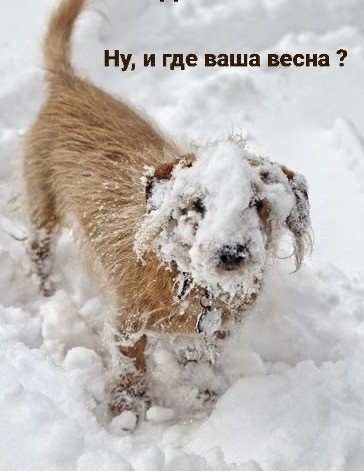 Воскресные картинки