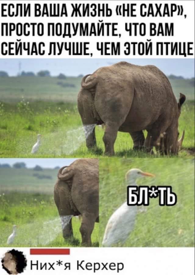Картинки для деградации 167 (разной степени свежести)