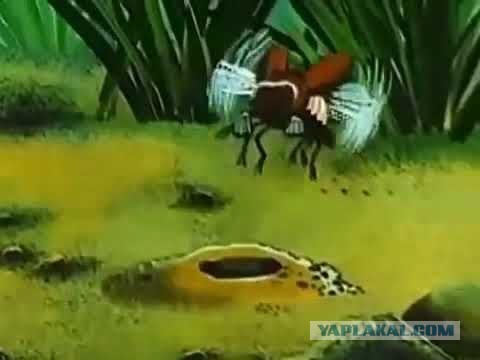 Мы блять!