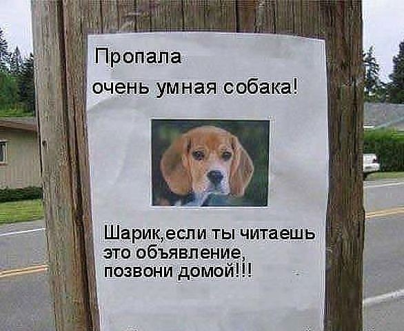 Картиночки, баянчики 26 июня