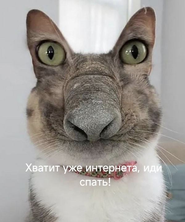 Картинки для деградации 235 (разной степени свежести)