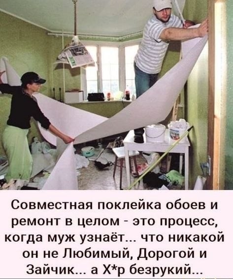 Картинки для деградации 239 (разной степени свежести)
