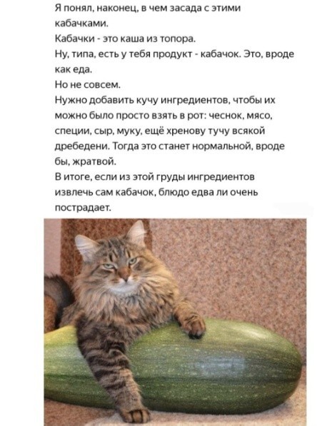 Так себе картинки 18.08.26