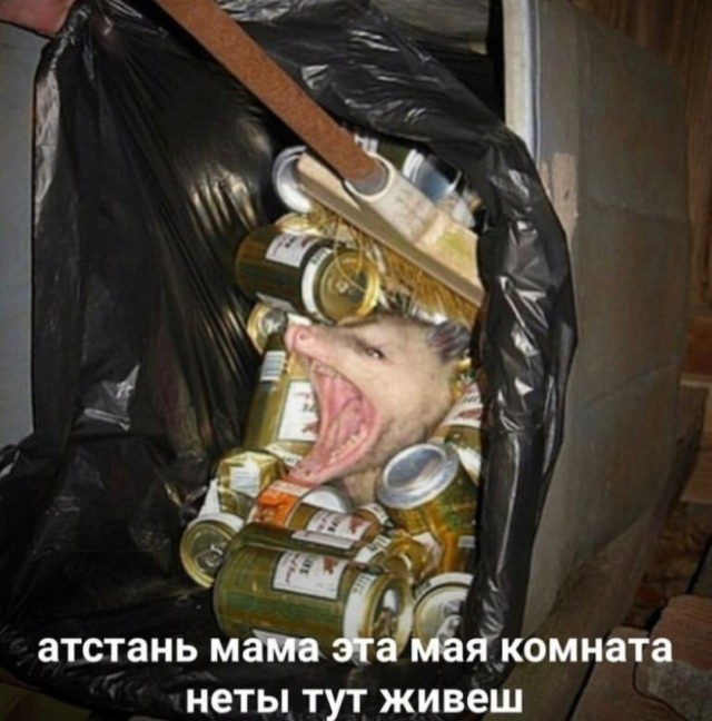 Картинки для деградации 306 (разной степени свежести)