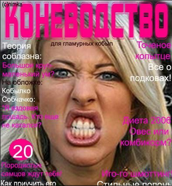 Лошадь Деда Мороза умерла от испуга