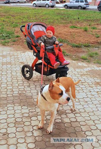 Собакочетверг на 02.01.2014