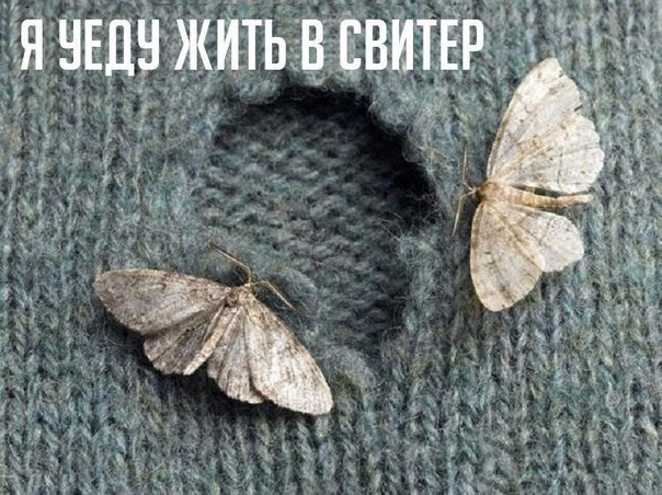 Смешные картинки
