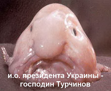 Карикатуры времен Второй мировой войны