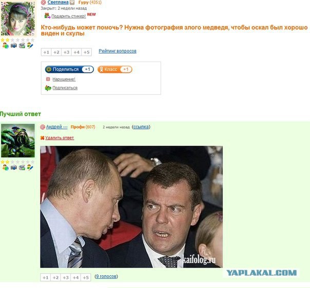 Комментарии из социальных сетей