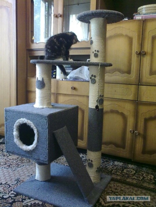 Дом для кота на скорую руку