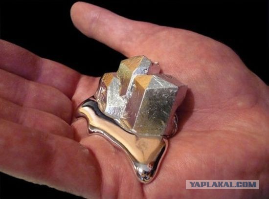 Веселые картинки