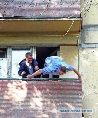10 фотографий, сделанных "за секунду до..."