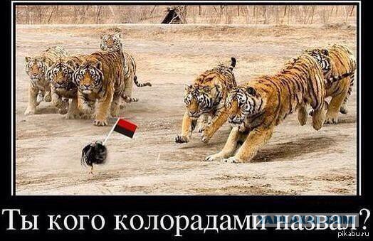 Украинские приколы.