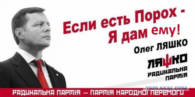Выборы-выборы! Кандидаты... молодцы.