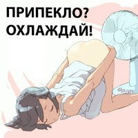 Украина, какая же ты...
