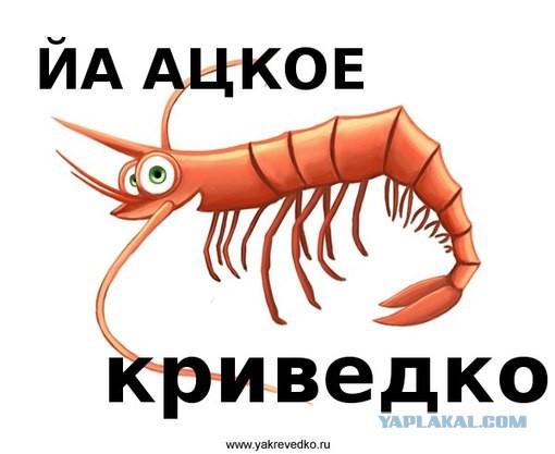 Рыбный рынок в Эквадоре