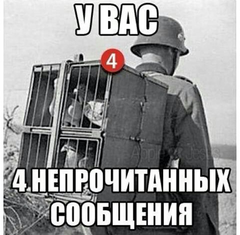 Картинки из вацапа