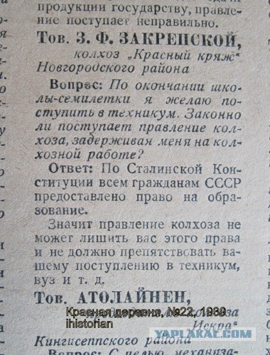 Россия, XXI век. Сталину несут цветы