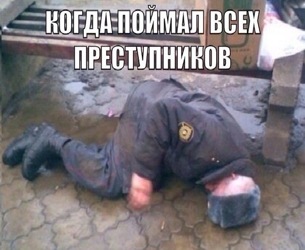 Подборка картинок