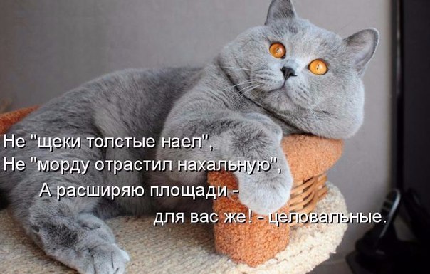 Мохнатые беспредельщики