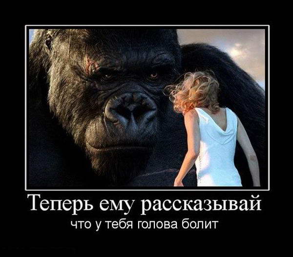 Демотиваторы