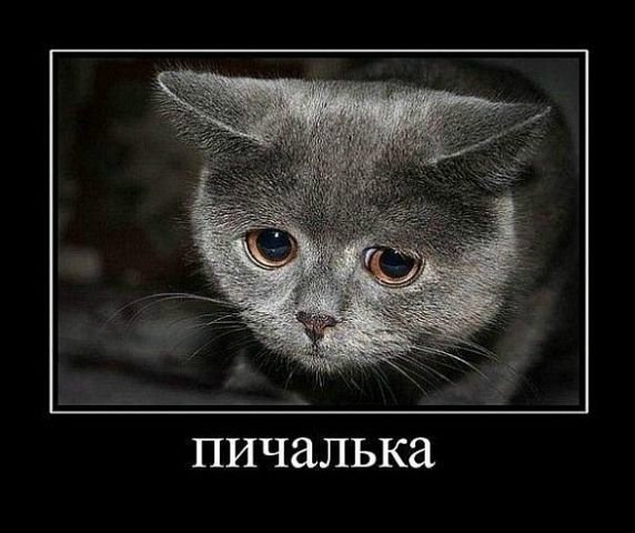 Wargaming 40