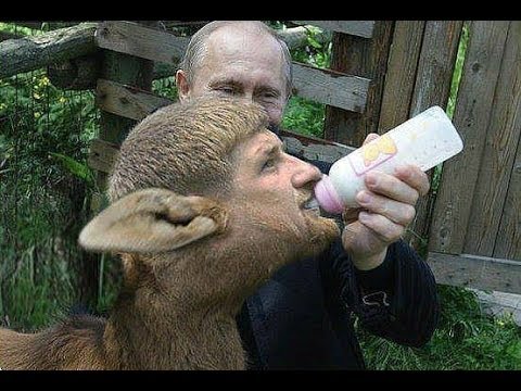 Кадыров: мы не позволим Путину не участвовать в выборах