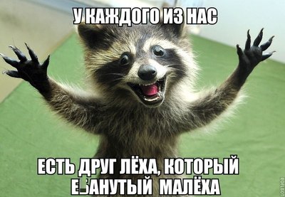 За что в деревне городских ненавидят