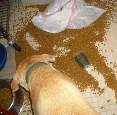 Это не я!