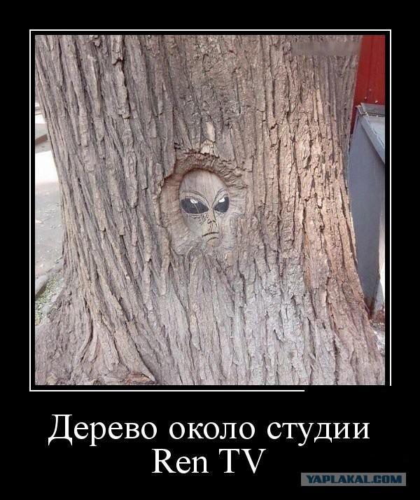 Веселая подборка демотиваторов