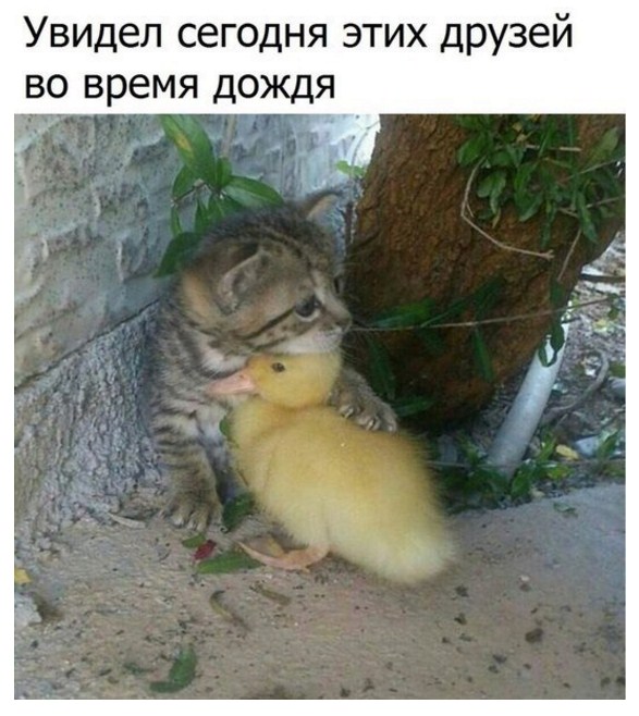 Подборка картинок из интернета на 02.07.17г.