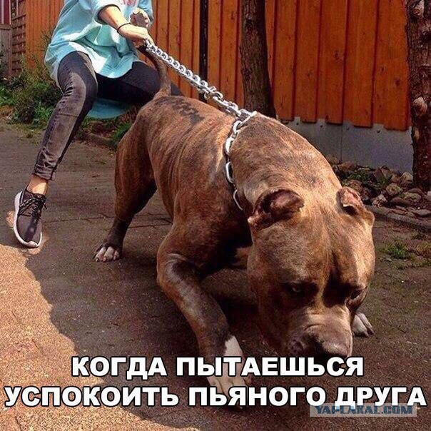Доколе, я вас спрашиваю?