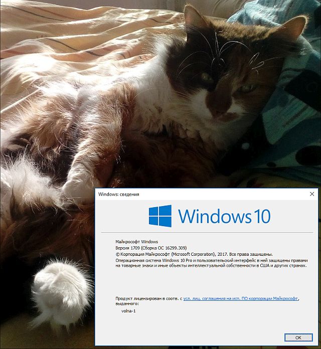 Подскажите про Win 10