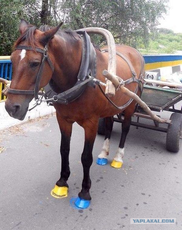Хохлы везут технику на Донецк!