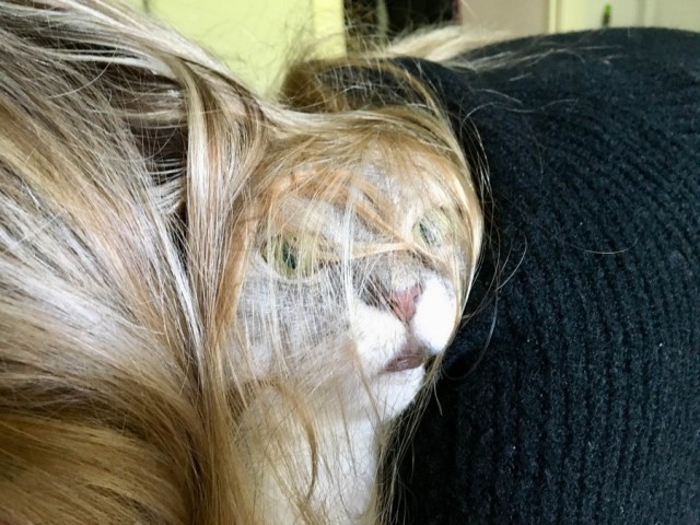 Немного милоты