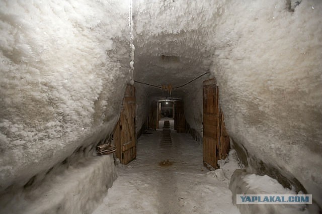 Колымские деликатесы