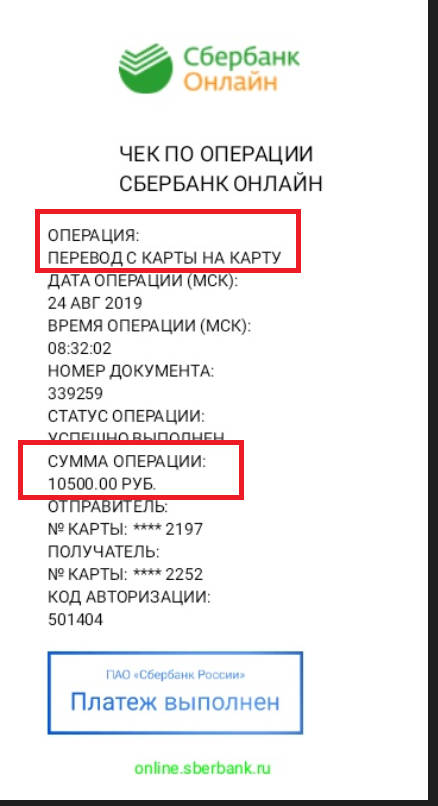 Помогите вернуть кота! Приют "Преданное сердце" украл кота и не отдает!-2