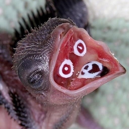 В этом мире ещё так много интересного