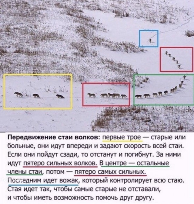 Чуток картинок! 26.12.19