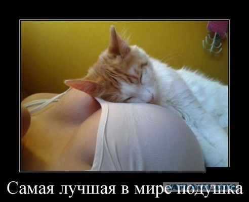 Спасите, в моей квартире женщина!