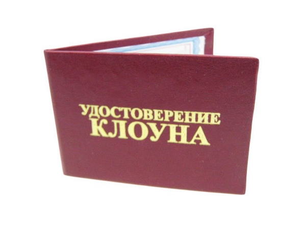 Опергруппы казаков по коронавирусу будут совершать по квартирные обходы