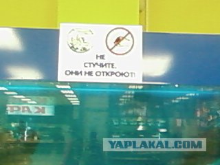 Прикольные объявления