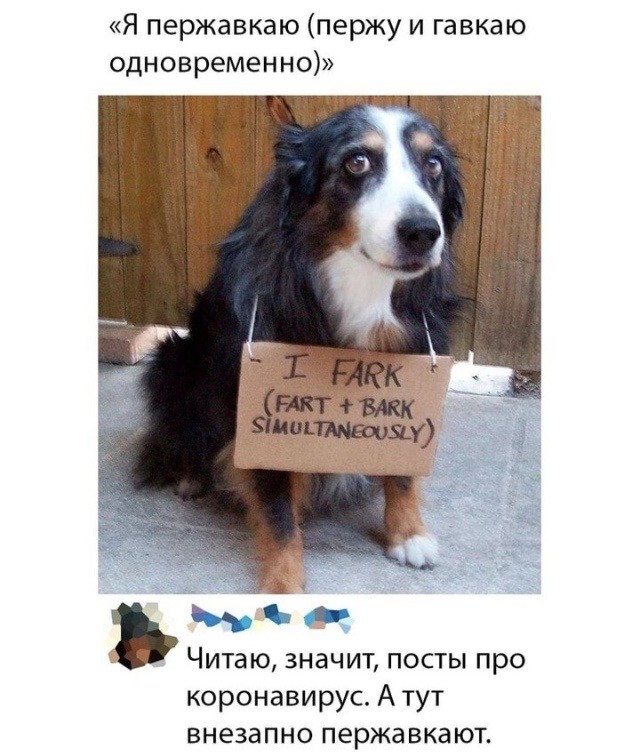 Немного картинок для настроения 28.04.20