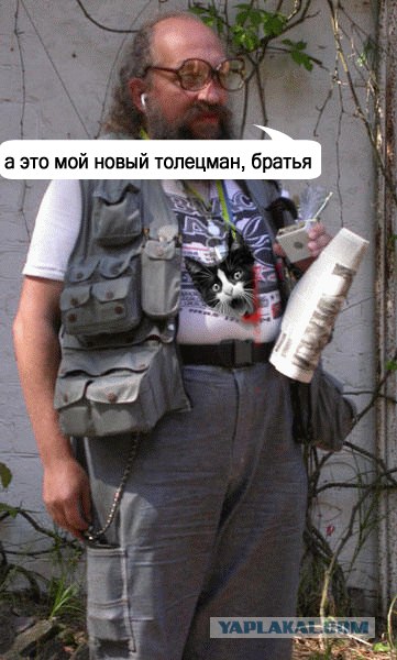 Фотожаба: Кот