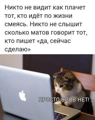 Юмор в картинках 15.08.20