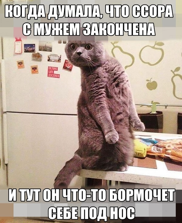 Фотки и картинки: юморные и красивые, забавные и милые 20.09.20