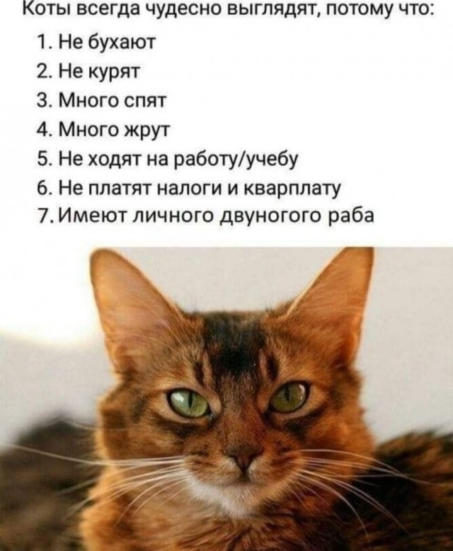 Бредзона 26.09.20