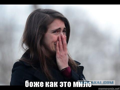 Люберецкий прокурор освобождён от должности